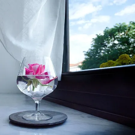 Marzia Nocleg ze śniadaniem Alba (Piedmont)