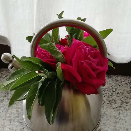 Bed & Breakfast Marzia Alba (Piedmont)