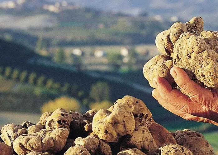 Marzia Bed and breakfast