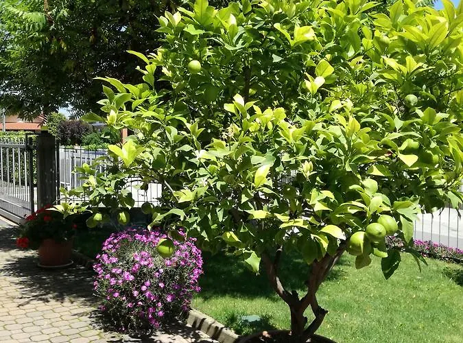 Bed and breakfast Marzia Alba (Piedmont)