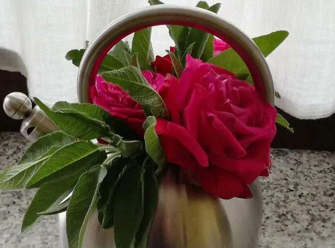 Bed and breakfast Marzia Alba (Piedmont)